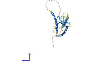 AlphaFold protein structure predicition of Mouse Recombinant Rassf9 Protein, UniprotID Q8K342