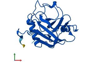 AlphaFold protein structure predicition of Mouse Recombinant Ppil1 Protein, UniprotID Q9D0W5