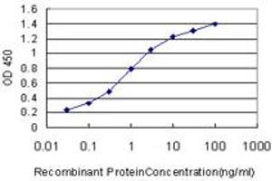 Detection limit for recombinant GST tagged HSPA1B is approximately 0.