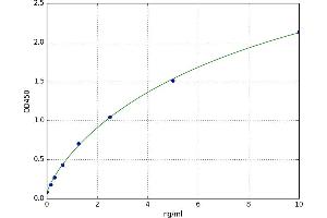 Breast Cancer Anti-Estrogen Resistance 1 (BCAR1) ELISA Kit