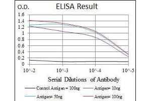 Black line: Control Antigen (100 ng), Purple line: Antigen(10 ng), Blue line: Antigen (50 ng), Red line: Antigen (100 ng),