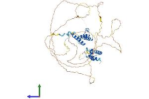AlphaFold protein structure predicition of Mouse Recombinant Hirip3 Protein, UniprotID Q8BLH7
