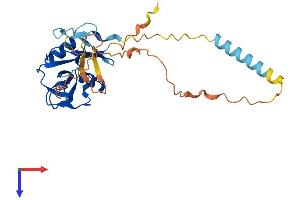AlphaFold protein structure predicition of Mouse Recombinant Clec2g Protein, UniprotID Q9D676