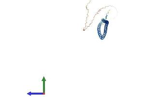 AlphaFold protein structure predicition of Human Recombinant ARGLU1 Protein, UniprotID Q9NWB6