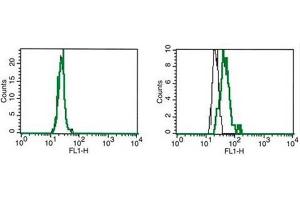 Flow Cytometry (FACS) image for anti-Interleukin-27 Subunit alpha (IL27) antibody (FITC) (ABIN1107838) (IL27 anticorps  (FITC))