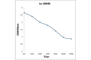 anti-Sulfatase 2 (SULF2) (AA 651-750) antibody
