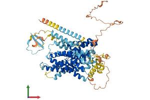 AlphaFold protein structure predicition of Human Recombinant SLC9A9 Protein, UniprotID Q8IVB4
