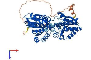 AlphaFold protein structure predicition of Mouse Recombinant Gtdc1 Protein, UniprotID Q8BW56