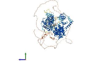 AlphaFold protein structure predicition of Mouse Recombinant Upf1 Protein, UniprotID Q9EPU0