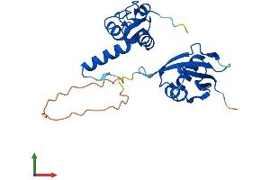 AlphaFold protein structure predicition of Mouse Recombinant PcgF3 Protein, UniprotID Q8BTQ0