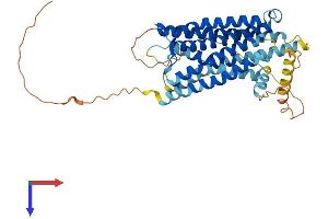 AlphaFold protein structure predicition of Human Recombinant SSTR3 Protein, UniprotID P32745