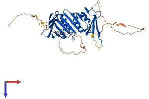 AlphaFold protein structure predicition of Human Recombinant RAD9A Protein, UniprotID Q99638