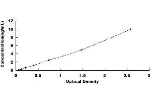 Microtubule Associated Tumor Suppressor 1 (MTUS1) ELISA Kit