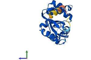 AlphaFold protein structure predicition of Human Recombinant NME3 Protein, UniprotID Q13232