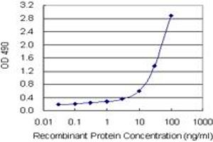 SPP1 (Human) Matched Antibody Pair
