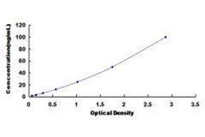Lipase H (LIPH) ELISA Kit