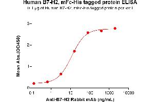 ELISA plate pre-coated by 1 μg/mL (100 μL/well) Human B7-H2 Protein, mFc-His Tag (ABIN6961102, ABIN7042233 and ABIN7042234) can bind Anti-B7-H2 Rabbit mAb in a linear range of 3.