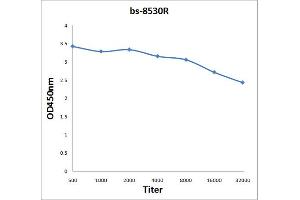 Antigen: 2 µg/100 µL  Primary: Antiserum, 1:500, 1:1000, 1:2000, 1:4000, 1:8000, 1:16000, 1:32000;  Secondary: HRP conjugated Rabbit Anti-Goat IgG at 1: 5000;  TMB staining Read the data in Microplate Reader by 450nm.