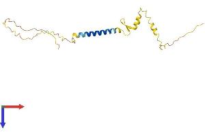 AlphaFold protein structure predicition of Mouse Recombinant Nsg2 Protein, UniprotID P47759