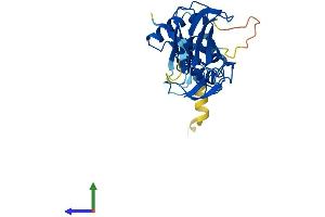 AlphaFold protein structure predicition of Mouse Recombinant Fbxo17 Protein, UniprotID Q9QZM8