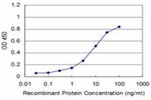 Detection limit for recombinant GST tagged RAX is approximately 1ng/ml as a capture antibody. (RAX anticorps  (AA 104-206))