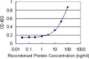 Detection limit for recombinant GST tagged D4S234E is 1 ng/ml as a capture antibody. (NSG1 anticorps  (AA 1-185))