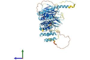 AlphaFold protein structure predicition of Human Recombinant NOL11 Protein, UniprotID Q9H8H0