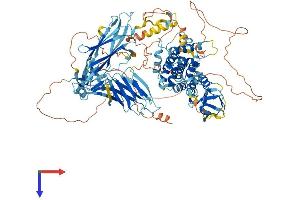 AlphaFold protein structure predicition of Human Recombinant SH3BP4 Protein, UniprotID Q9P0V3