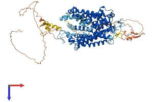 AlphaFold protein structure predicition of Human Recombinant SLC6A5 Protein, UniprotID Q9Y345