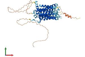 AlphaFold protein structure predicition of Mouse Recombinant Slc29a4 Protein, UniprotID Q8R139