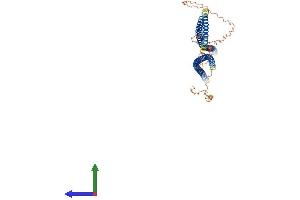 AlphaFold protein structure predicition of Human Recombinant KRT38 Protein, UniprotID O76015