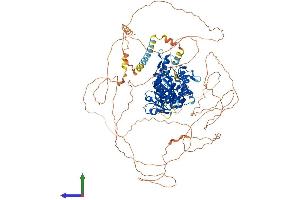 AlphaFold protein structure predicition of Human Recombinant DENND1A Protein, UniprotID Q8TEH3