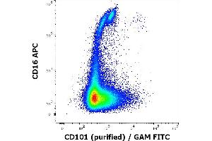 Flow cytometry multicolor surface staining of human lymphocytes stained using anti-human CD101 (BB27) purified antibody (concentration in sample 0,56 μg/mL, GAM FITC) and anti-human CD16 (3G8) APC antibody (10 μL reagent / 100 μL of peripheral whole blood). (CD101 anticorps)