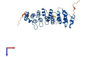 AlphaFold protein structure predicition of Human Recombinant NFKBID Protein, UniprotID Q8NI38