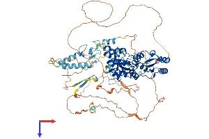 AlphaFold protein structure predicition of Human Recombinant BARD1 Protein, UniprotID Q99728