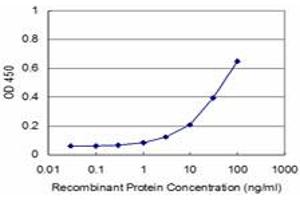 Detection limit for recombinant GST tagged RHOA is approximately 3ng/ml as a capture antibody. (RHOA anticorps  (AA 1-193))