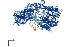 AlphaFold protein structure predicition of Mouse Recombinant Ago1 Protein, UniprotID Q8CJG1