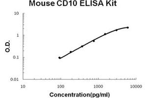 Mouse Neprilysin/CD10 PicoKine ELISA Kit standard curve