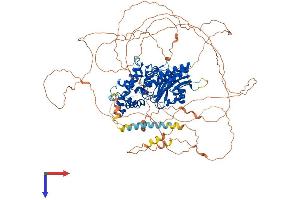 AlphaFold protein structure predicition of Mouse Recombinant Dennd1a Protein, UniprotID Q8K382