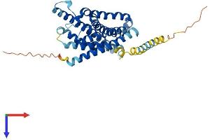 AlphaFold protein structure predicition of Human Recombinant FPR1 Protein, UniprotID P21462