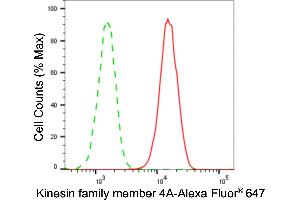 Flow cytometric analysis of kinesin family member 4A expression in HAP-1 cells using kinesin family member 4A antibody (ABIN7799207), 1:2,000). (Recombinant KIF4A anticorps)