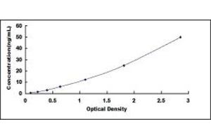 Typical standard curve (CHRNA5 Kit ELISA)