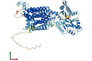 AlphaFold protein structure predicition of Mouse Recombinant ptchd1 Protein, UniprotID Q14B62