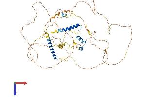 AlphaFold protein structure predicition of Mouse Recombinant Slain2 Protein, UniprotID Q8CI08