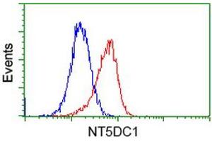 Image no. 6 for anti-5'-Nucleotidase Domain Containing 1 (NT5DC1) antibody (ABIN1499836)