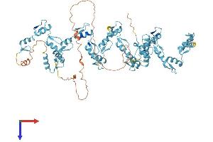AlphaFold protein structure predicition of Human Recombinant ZNF425 Protein, UniprotID Q6IV72