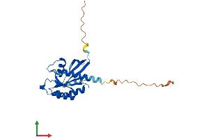 AlphaFold protein structure predicition of Human Recombinant RAB3A Protein, UniprotID P20336