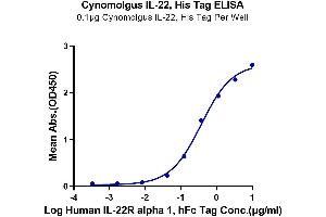 Immobilized Cynomolgus IL-22, His Tag at 1 μg/mL (100 μL/well) on the plate.