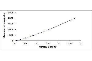 Fibroblast Growth Factor 15 (FGF15) ELISA Kit