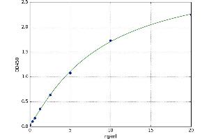 Integrin-Binding Sialoprotein (IBSP) ELISA Kit